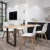 Sedia da pranzo - Stile Scandinavo - Denisse

 image 7