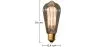 Lampadina Edison Vintage - Squirrel image 7