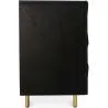 Credenza Vintage Nera - 2 Sportelli - Legno e Acciaio - Huisu image 7