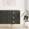 Credenza Vintage Nera - 2 Sportelli - Legno e Acciaio - Huisu image 7
