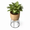 Vaso da Terra Rotondo - Stile Boho - Aventura image 7