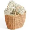 Cesto in rattan con manici - Keray image 7