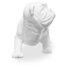 Scultura decorativa di design Bulldog - Resina image 7