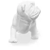 Scultura decorativa di design Bulldog - Resina image 7
