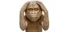 Statuetta Decorativa - Scimmia Sorda - Sapiens image 7