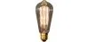 Lampadina Edison Vintage - Squirrel image 9