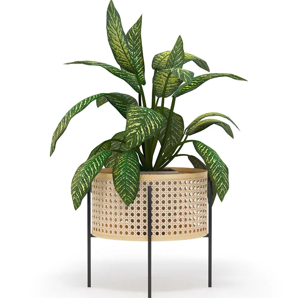 Vaso da Terra Rotondo - Stile Boho - Fusión image 8
