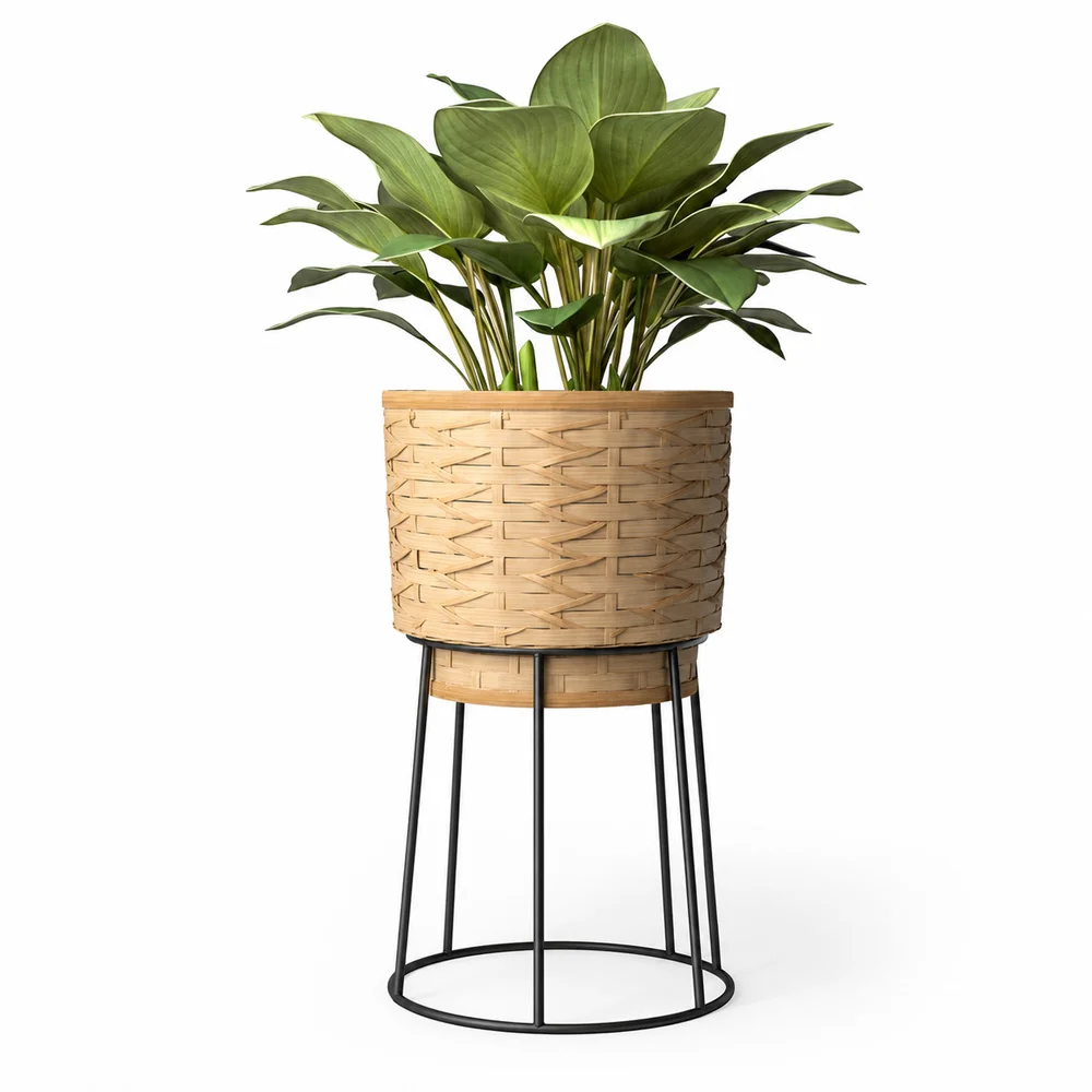 Vaso da Terra Rotondo - Stile Boho - Aventura image 8